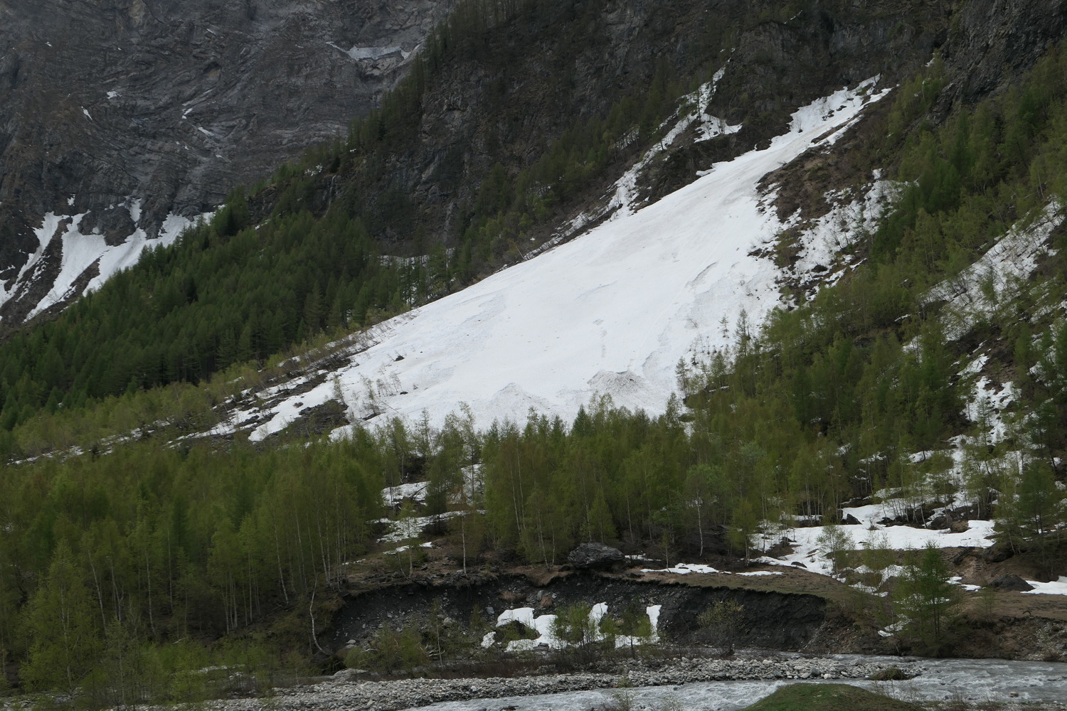 p1060427.jpg