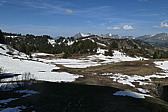p1060377.jpg