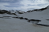 p1060420.jpg