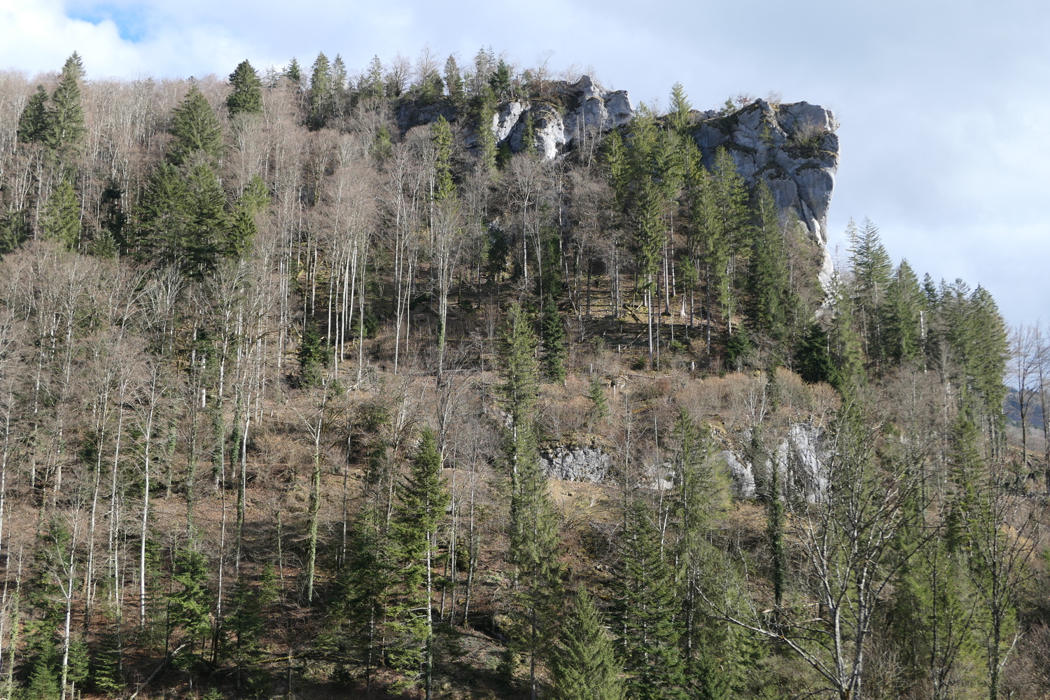 p1060002.jpg