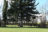p1050995.jpg