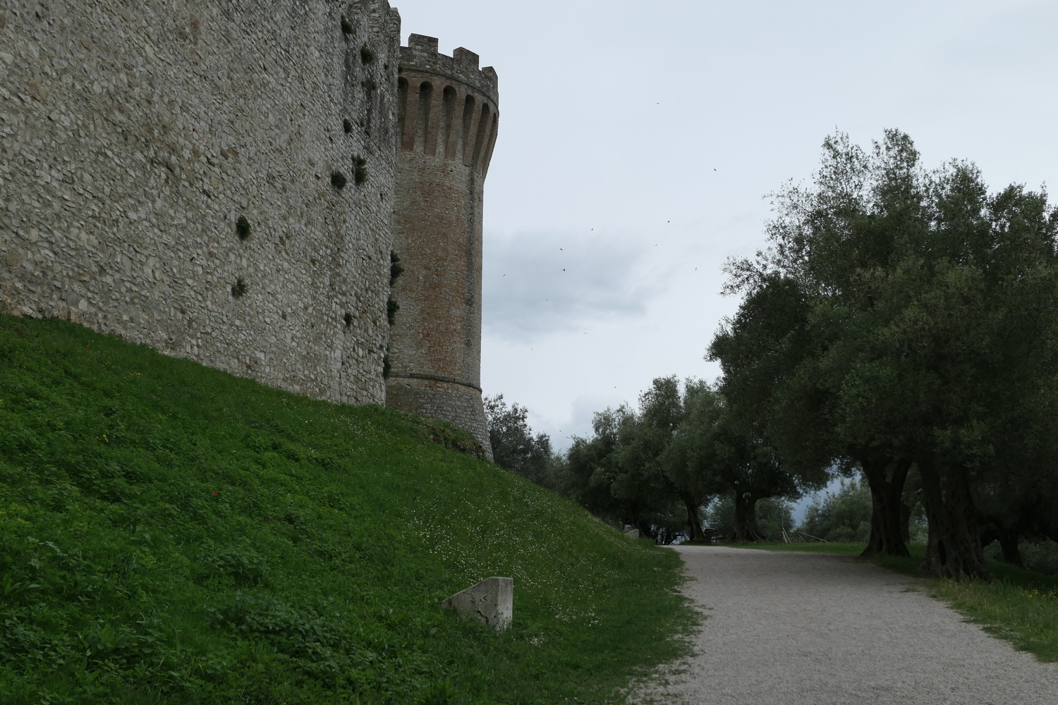 p1060478.jpg