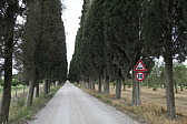 p1060471.jpg