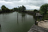 p1060495.jpg