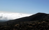 Guajara