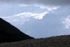 Wildg&auml;rst