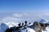 Wildhorn