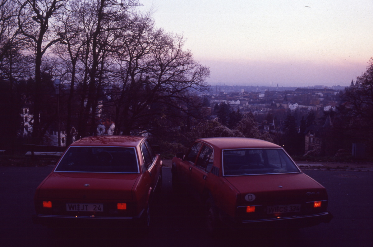 005_alfas.jpg