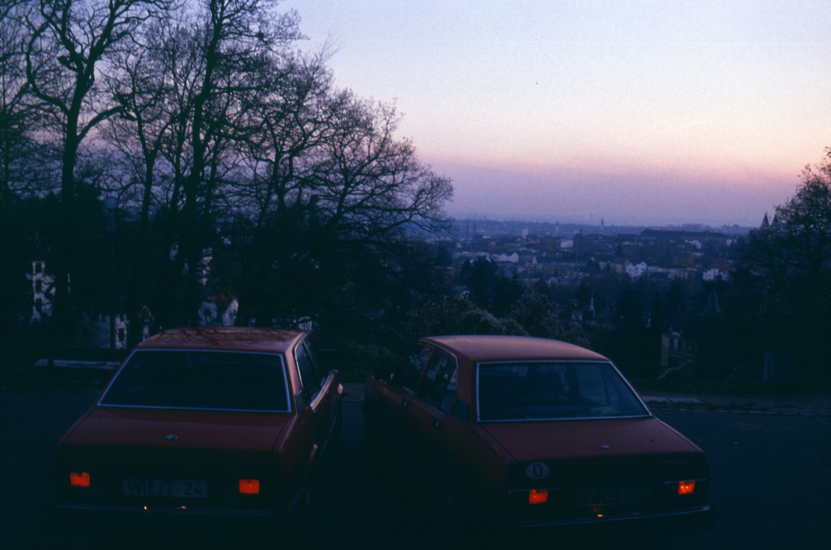 010_alfas.jpg