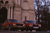 004_alfas.jpg