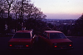 005_alfas.jpg
