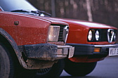 008_alfas.jpg