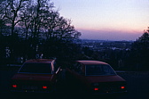 010_alfas.jpg