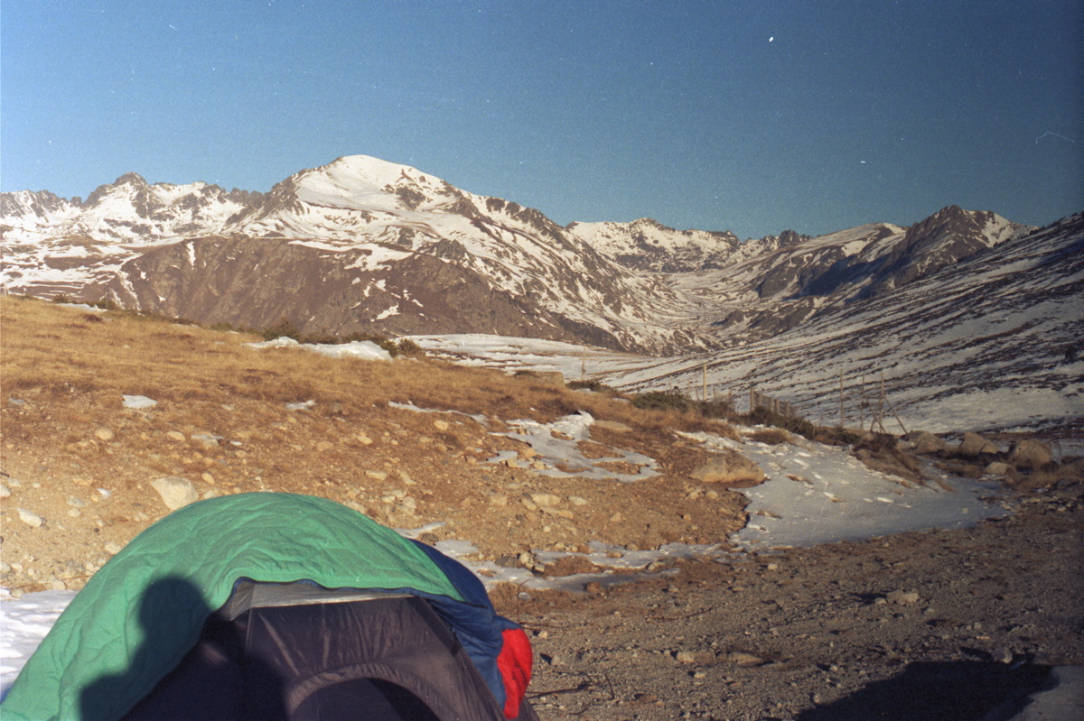 015_pyrenaeen.jpg