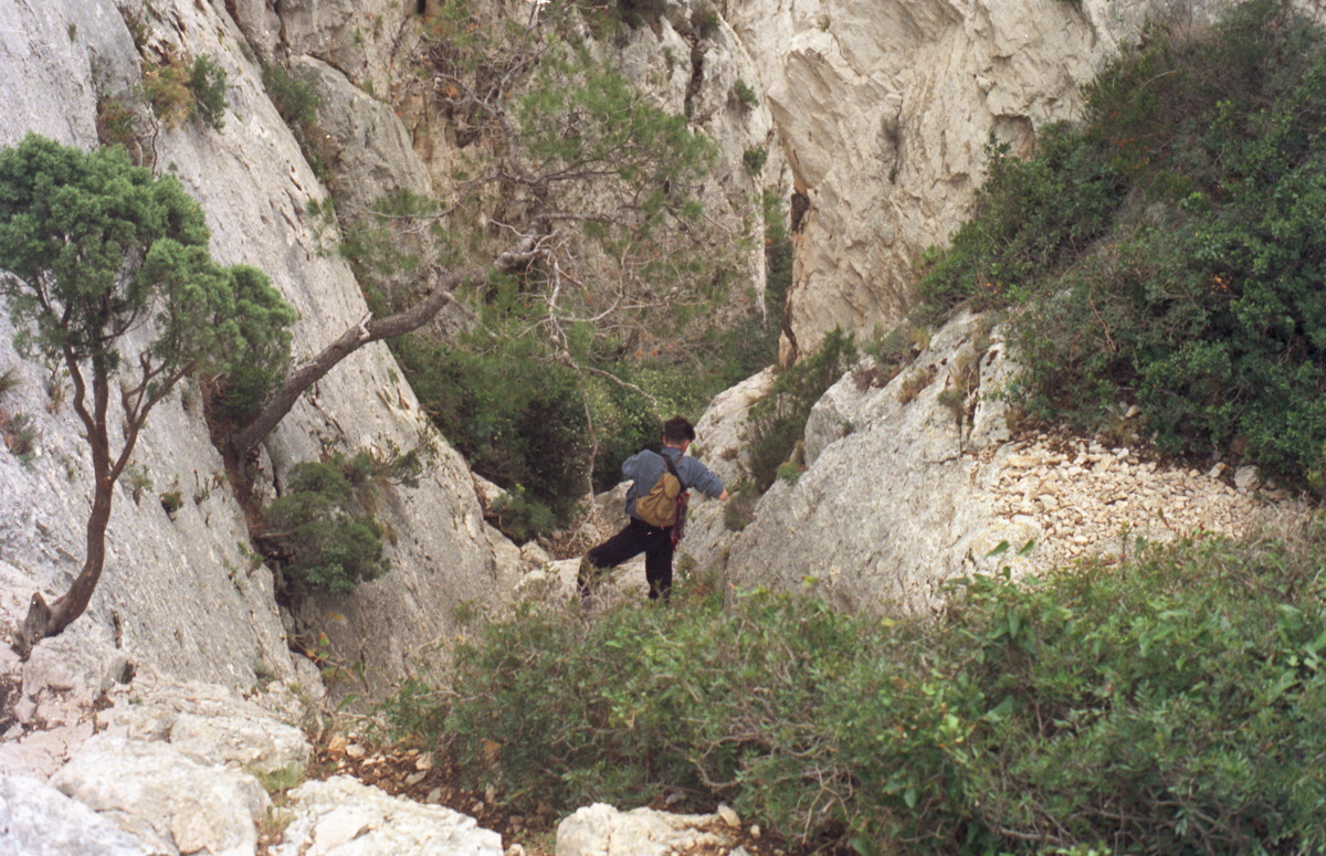 022_abwaerts_im_busch.jpg