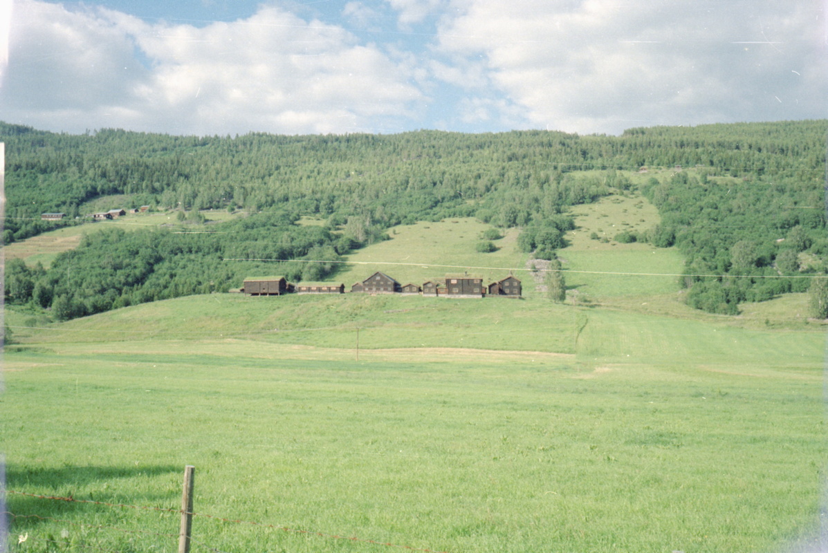 029_aufstieg_im_sjodalen.jpg