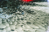 108_schmutziger_schnee.jpg
