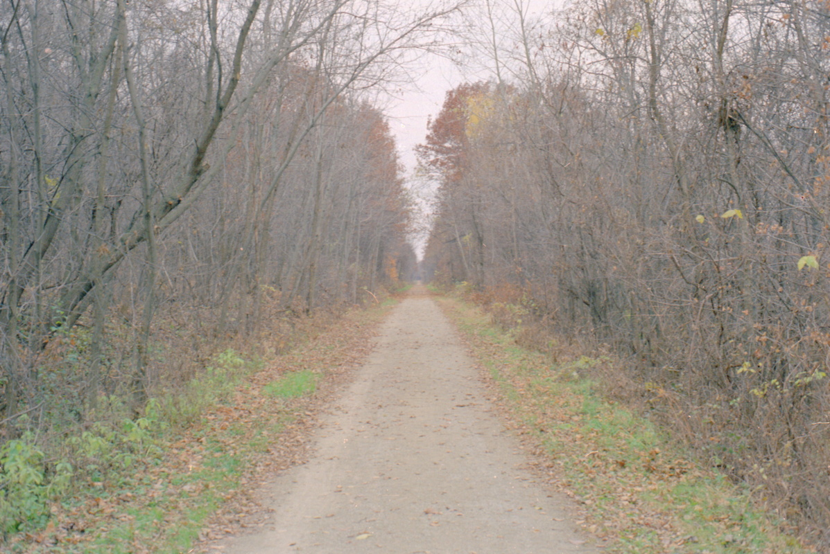 135_der_weg_nach_sueden.jpg