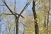 129_herbststimmung.jpg