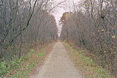 135_der_weg_nach_sueden.jpg