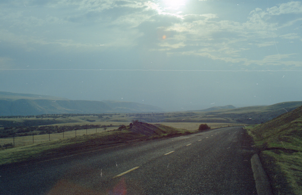 178_in_den_coastal_mountains.jpg