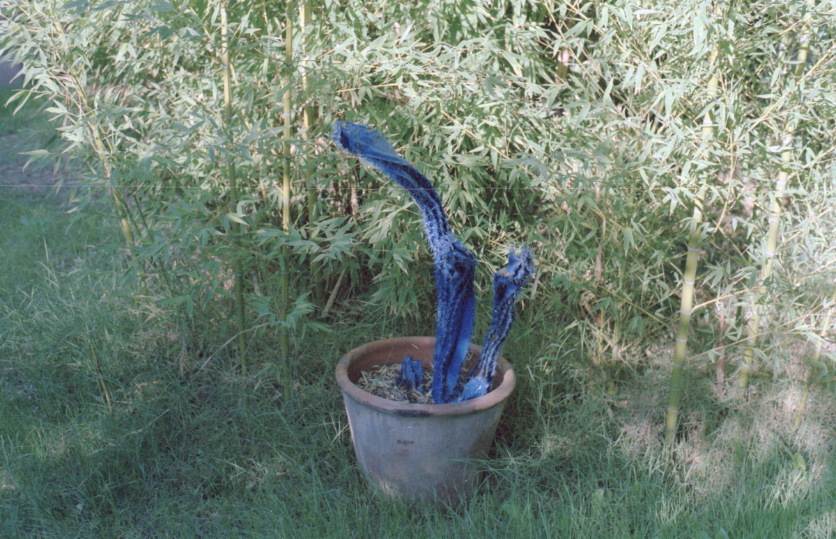 187_im_garten_der_ranch.jpg