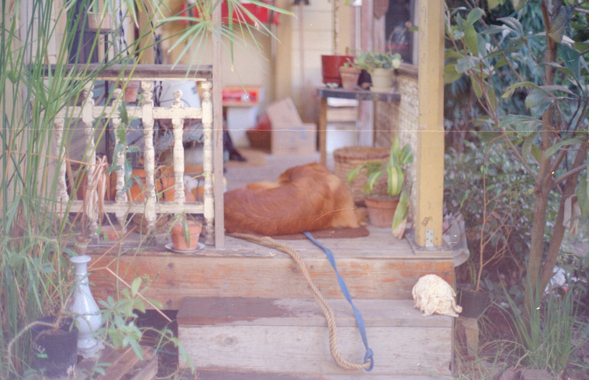 188_auf_der_veranda.jpg