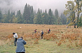 158_jede_menge_fotografen.jpg