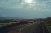 178_in_den_coastal_mountains.jpg