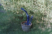 187_im_garten_der_ranch.jpg