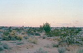 208_mond_ueber_der_wueste.jpg