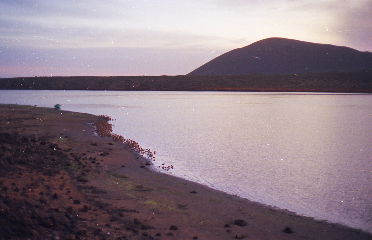 221_hinter_ensenada.jpg