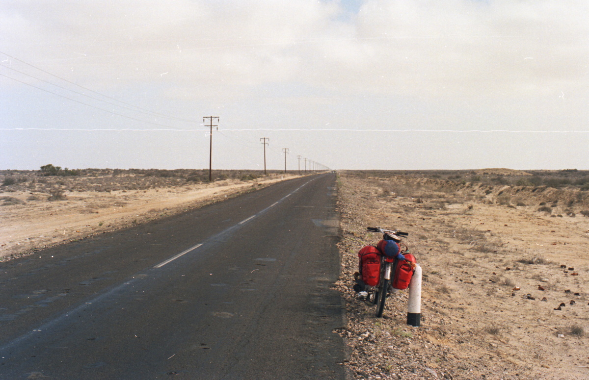 265_durch_die_desierto_de_vizcaino.jpg