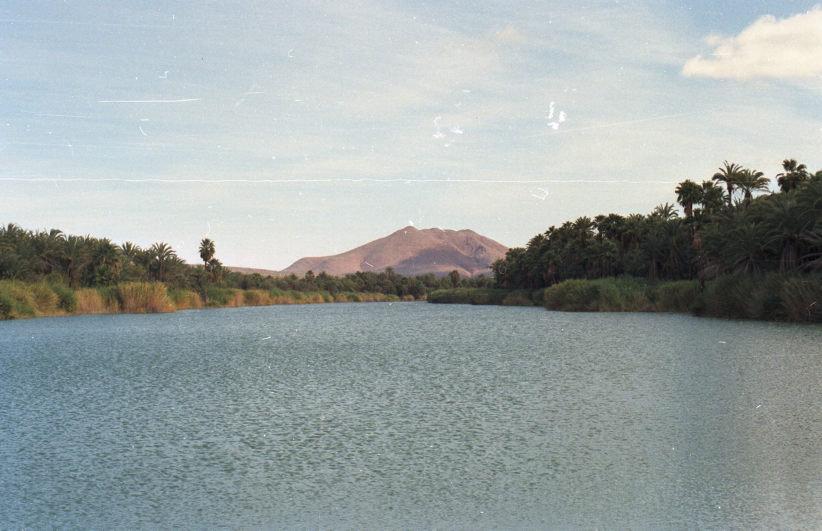 269_see_in_loreto.jpg
