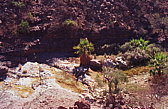 285_kleiner_canyon.jpg