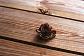 014_nochmal_hausbesetzer.jpg
