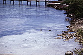 027_nochmal_coco_negro.jpg