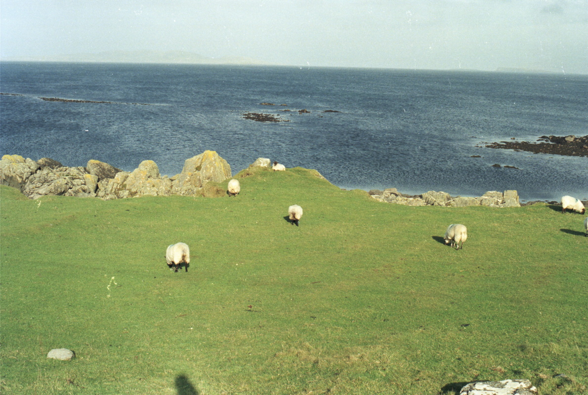 025-an_der_kueste.jpg