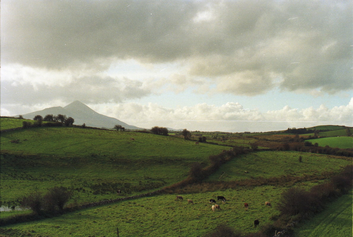 039-gruenes_land.jpg