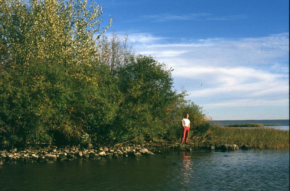 044_insel_ii.jpg