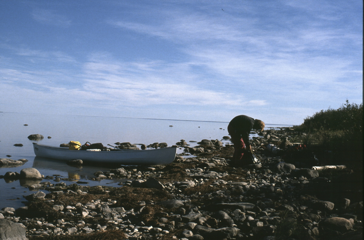 058_teepause.jpg