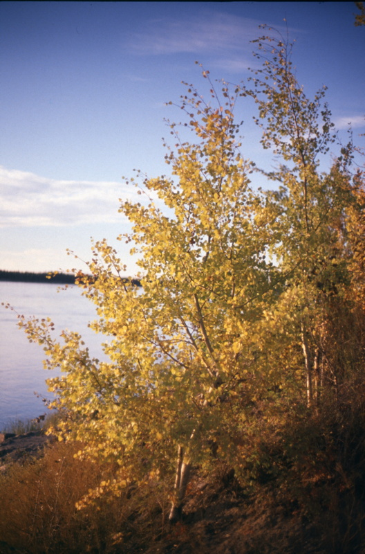 060_nochmal_herbstfarben.jpg
