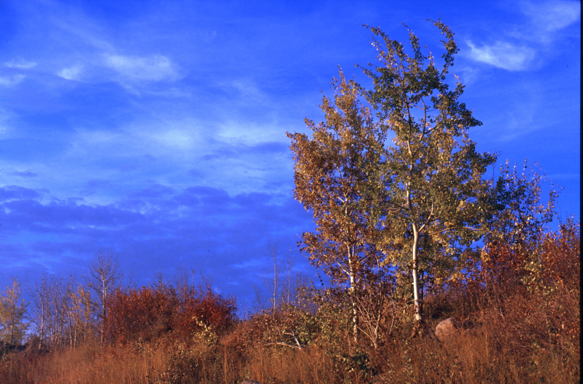 062_noch_mehr_herbstfarben.jpg