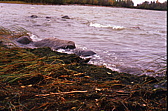 048_nochmal_vogel.jpg