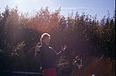 057_peter_und_die_muecken.jpg