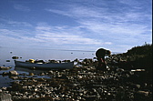 058_teepause.jpg