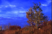 062_noch_mehr_herbstfarben.jpg