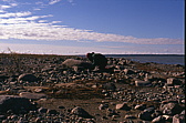 070_nochmal_teepause.jpg