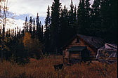 077_die_verlassene_farm.jpg