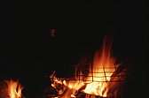 091a_blick_ins_feuer.jpg
